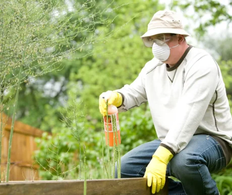 A man taking precautionary measures for pest controls.