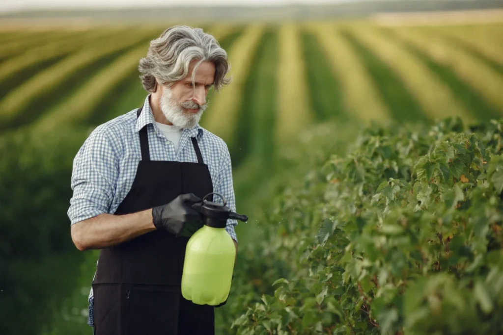 Farmer spraying plants in field.