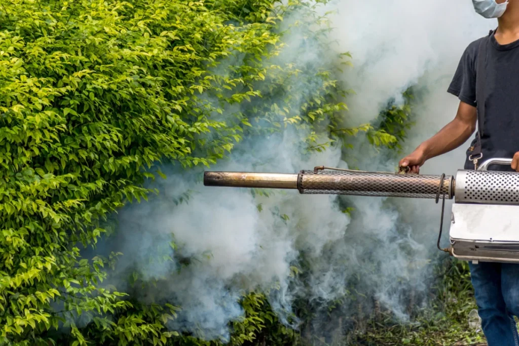 Pest control worker fogging bushes.