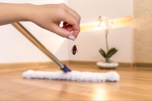 Why Local Pest Control Experts Keep Your Home Safer