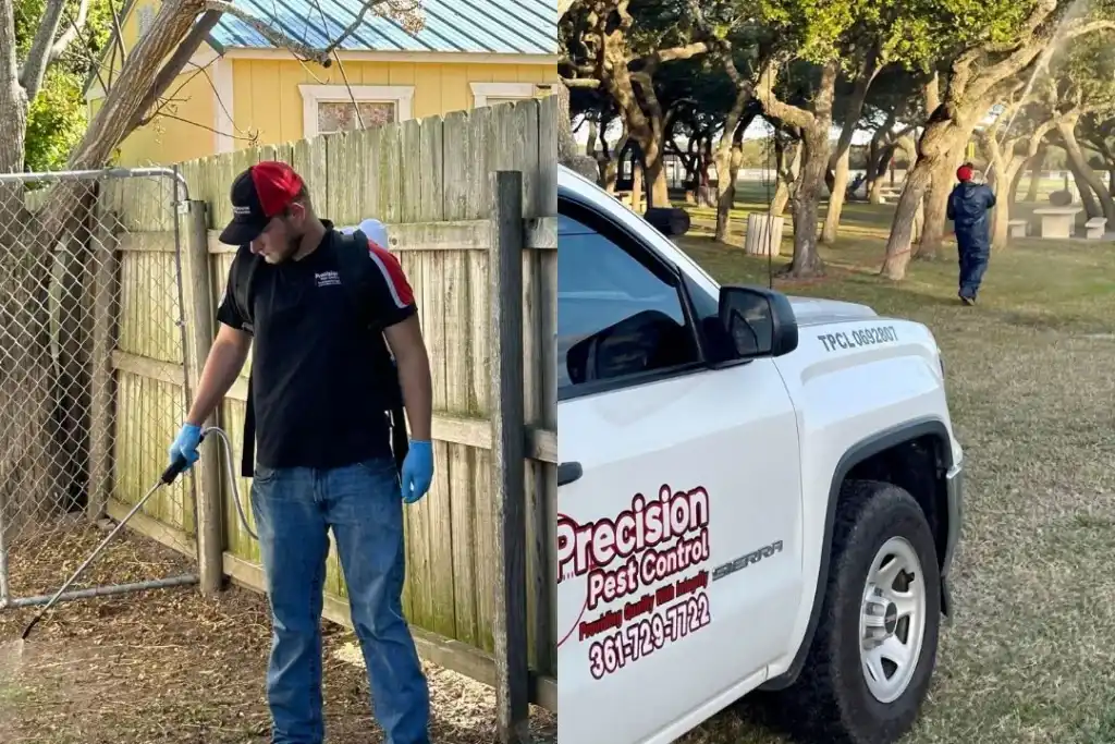 Corpus Christi pest control services available