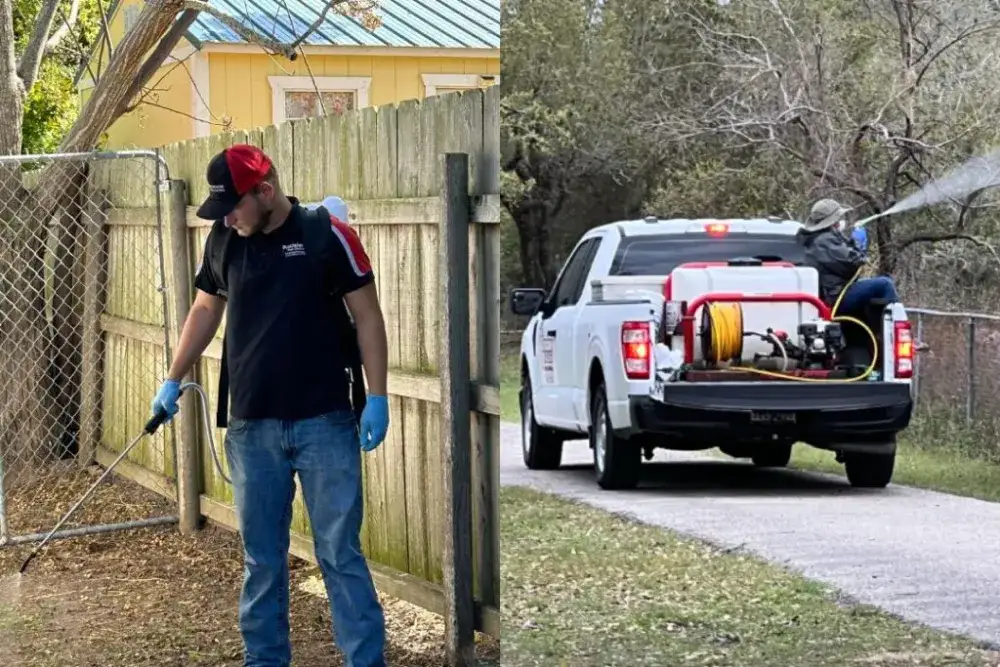 Technicians spraying a home’s yard and nearby trees during outdoor pest-control service.
