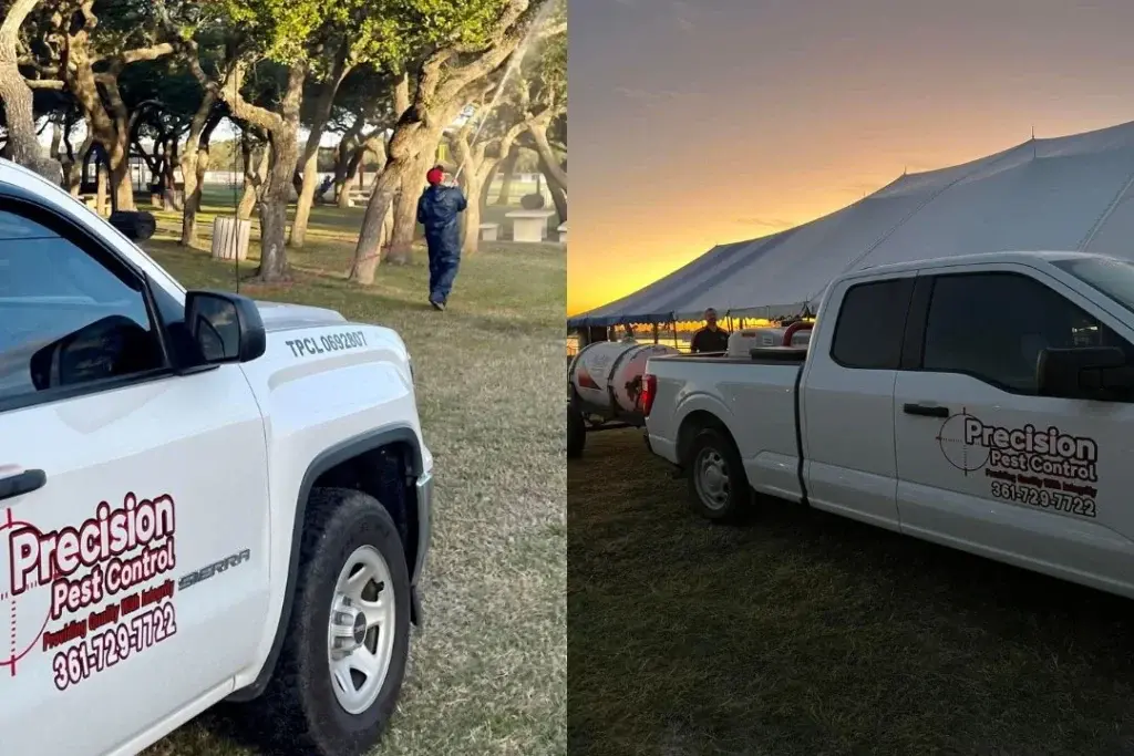 Precision Pest Control trucks with a worker spraying trees and another near a tent at sunset